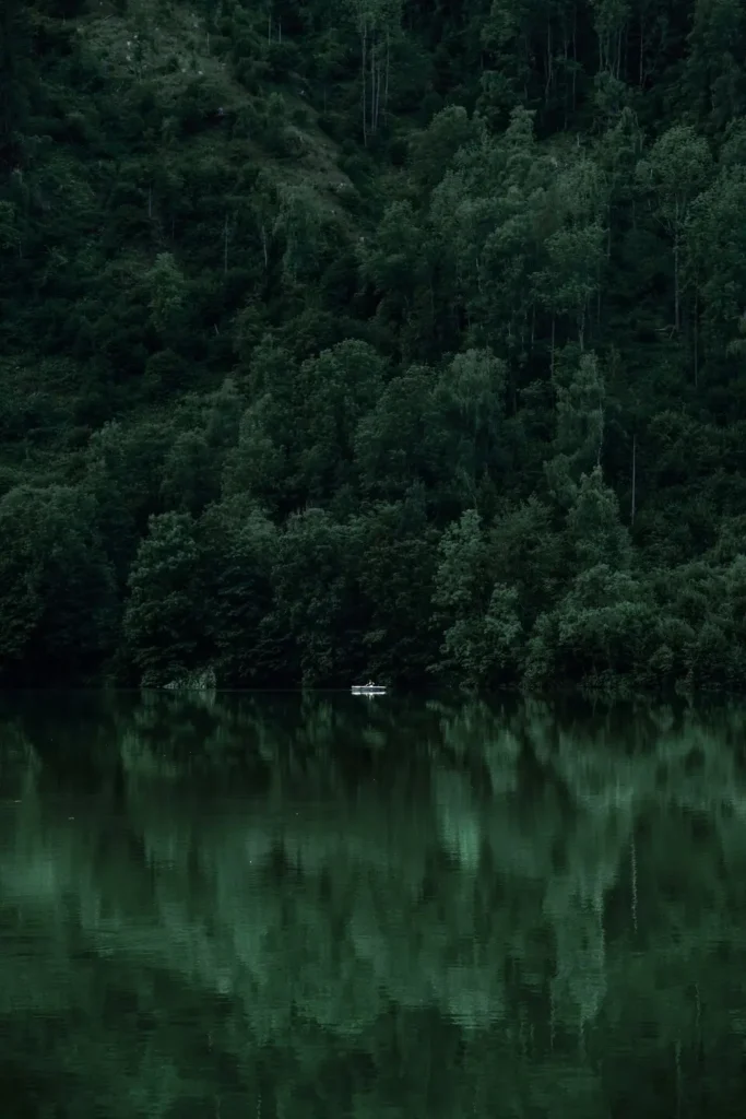 Personne navigant sur une barque dans la forêt immense